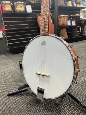 Epiphone - MB-100NACH 2